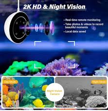 Visual Fish Feeder O-1 – Smart Feeding with Built-in HD Camera