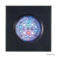 Carregar imagem no visualizador da galeria, Jecod LED SQL Series - freakincorals.com