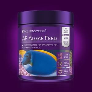 AF Algae Feed - freakincorals.com