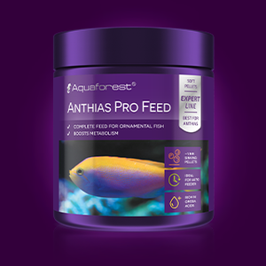 Anthias Pro Feed - freakincorals.com