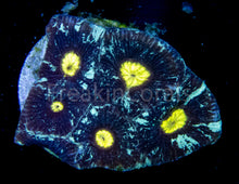 Load image into Gallery viewer, FK Nebulosa Galaxy Favites