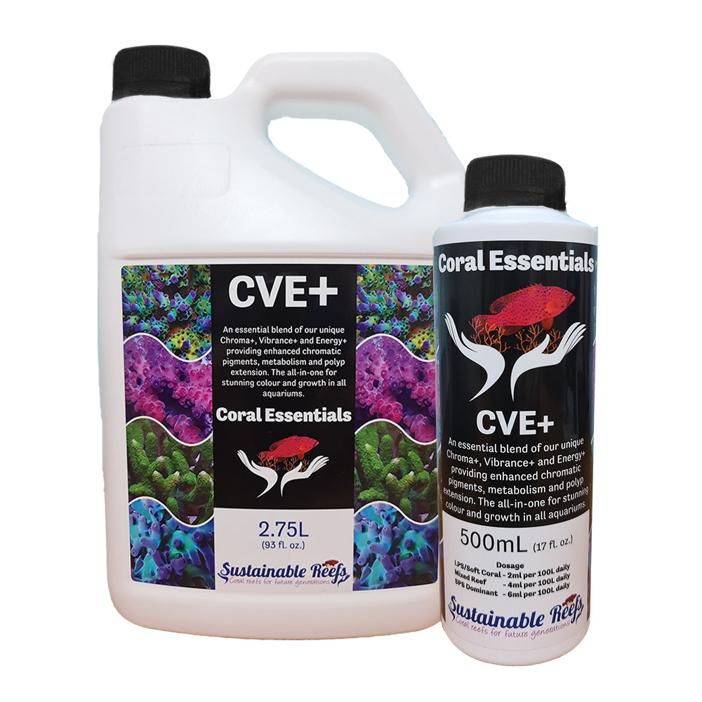 CVE+ – freakincorals.com