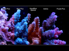 Load image into Gallery viewer, ATI T5 Bulbs - freakincorals.com
